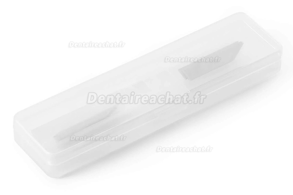 Lames de sculpture pour stylo de gravure ultrasons (10 pièces/boîte)